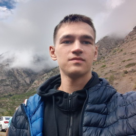 Вадим Шубин 